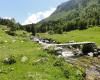 CroppedImage10080-dsc01652